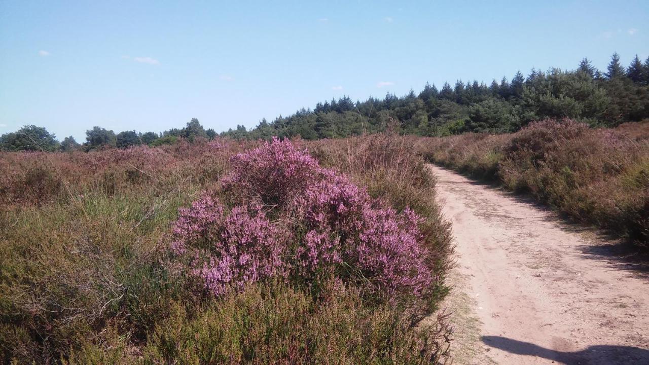 Poort Van De Veluwe 福尔特赫伊曾 外观 照片