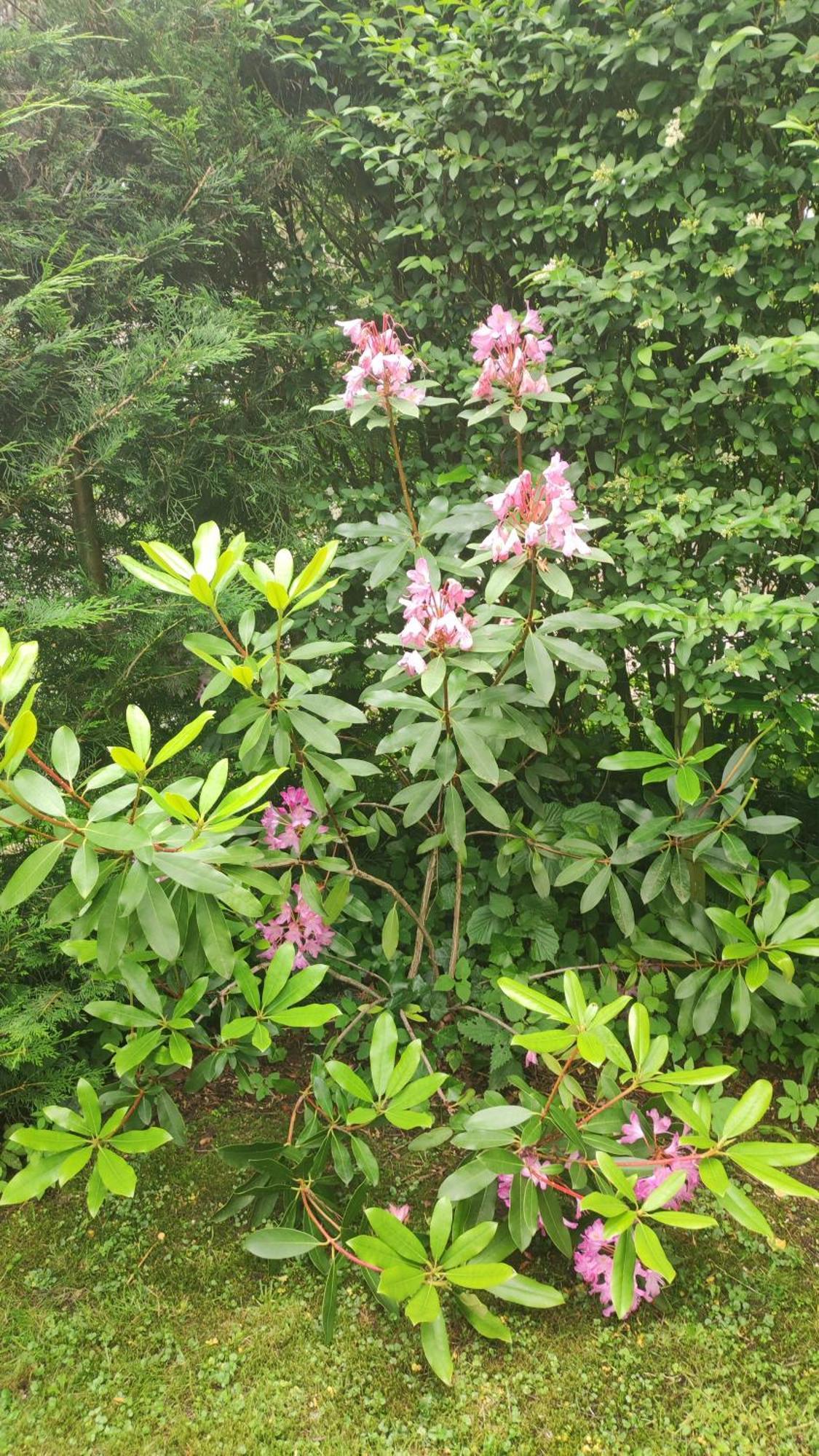 Poort Van De Veluwe 福尔特赫伊曾 外观 照片