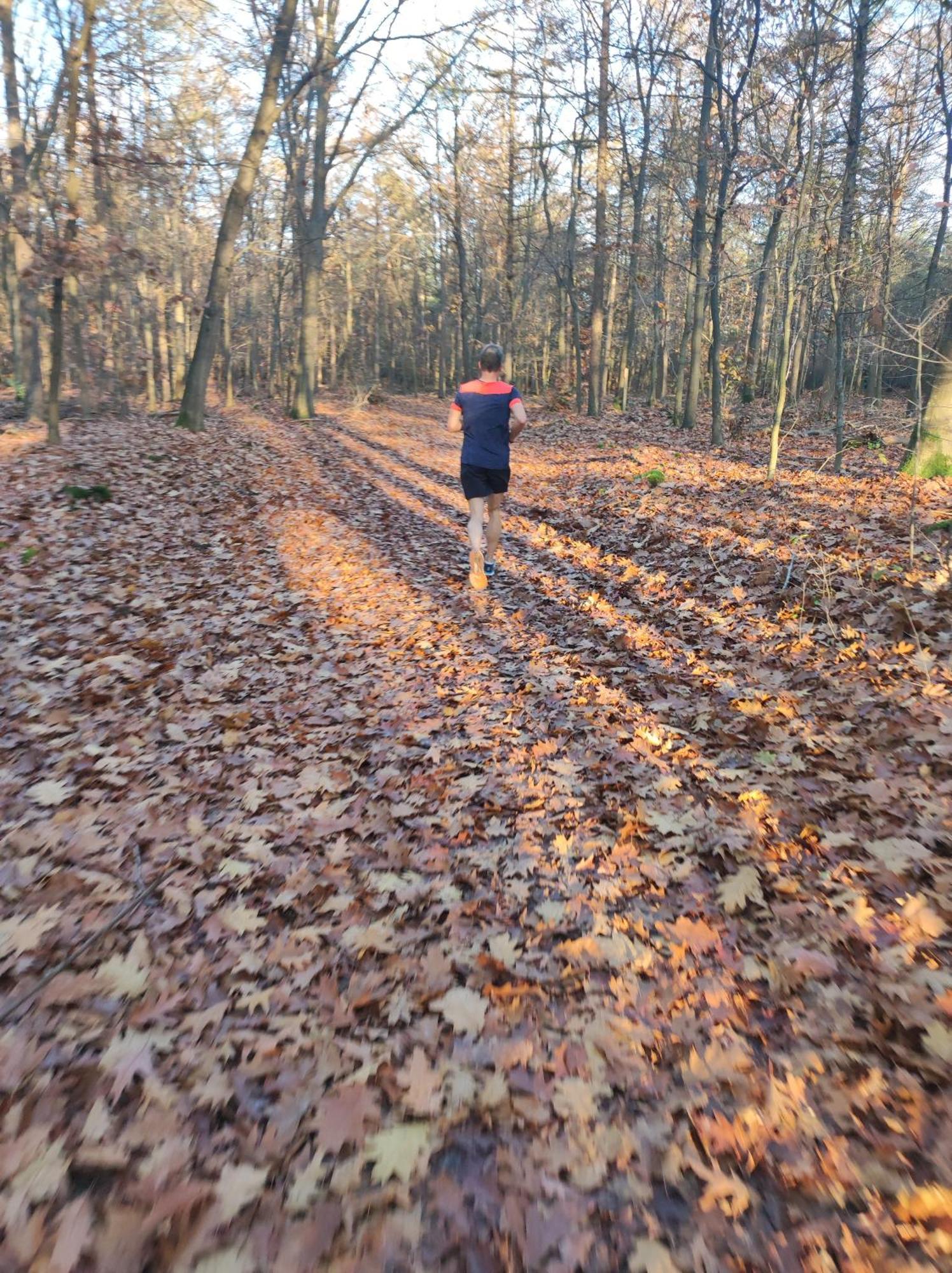 Poort Van De Veluwe 福尔特赫伊曾 外观 照片